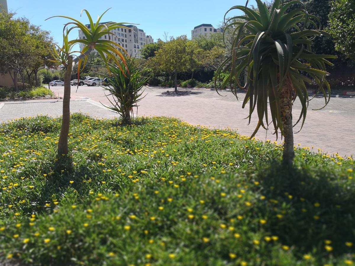 Majorca Apartments By Bon Hotels Κέιπ Τάουν Εξωτερικό φωτογραφία